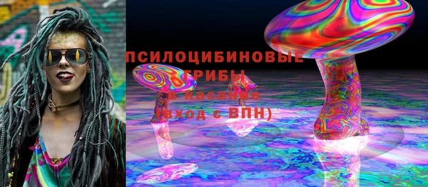 ПСИЛОЦИБИНОВЫЕ ГРИБЫ Абаза